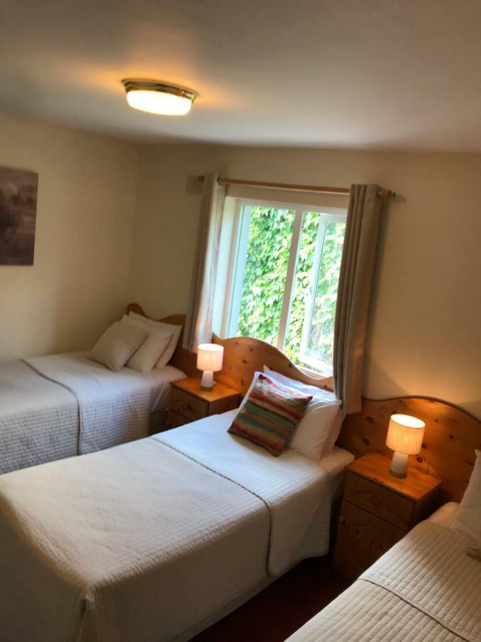 San Antonio Guesthouse Kilkenny Zewnętrze zdjęcie