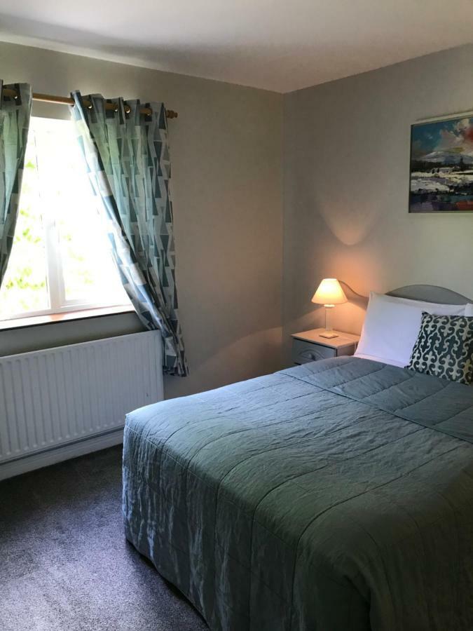 San Antonio Guesthouse Kilkenny Zewnętrze zdjęcie