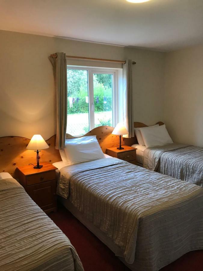 San Antonio Guesthouse Kilkenny Zewnętrze zdjęcie
